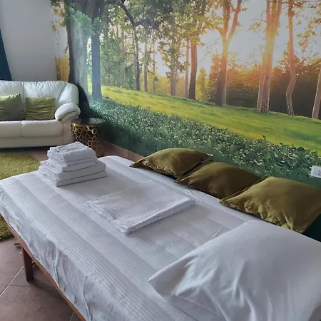 Luxury - Near Of The Park *